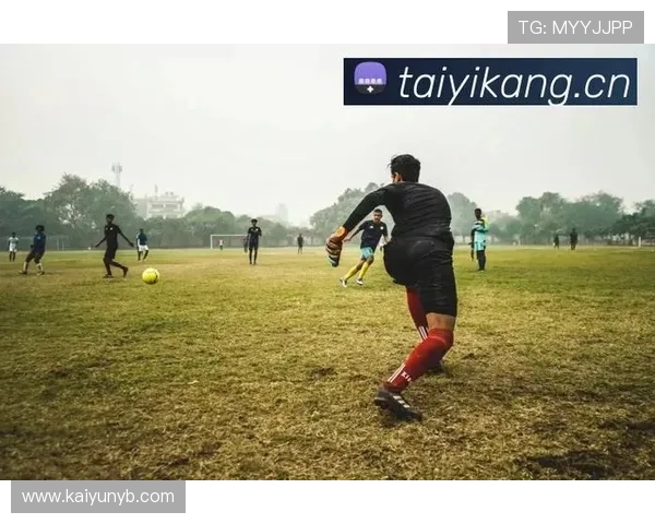 开云体育app官网下载地址最新官方入口，安全稳定快速下载安装指南