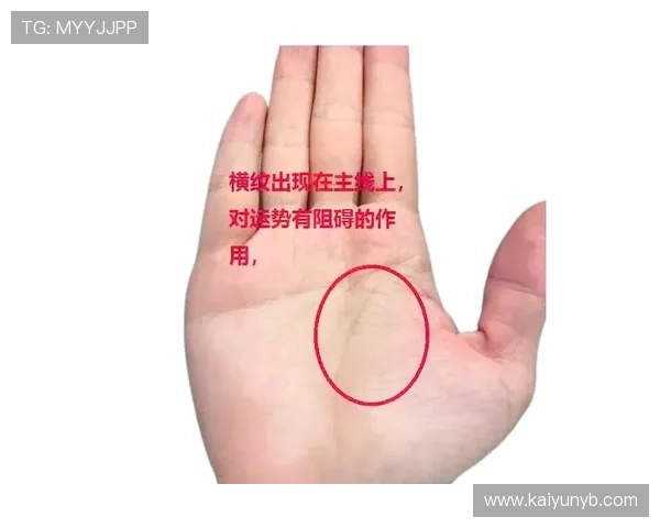 掌握开运线图解的实用技巧助你提升运势实现人生转变