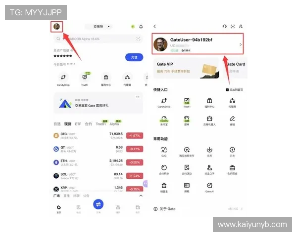 开云app官方入口评价：如何选择安全可靠的官方入口，用户必看详细指南